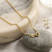 Italian Gold-Plated Box Chain Necklace – gold-plated necklace, close-up